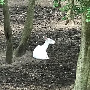 Meet your Posher, Alanna